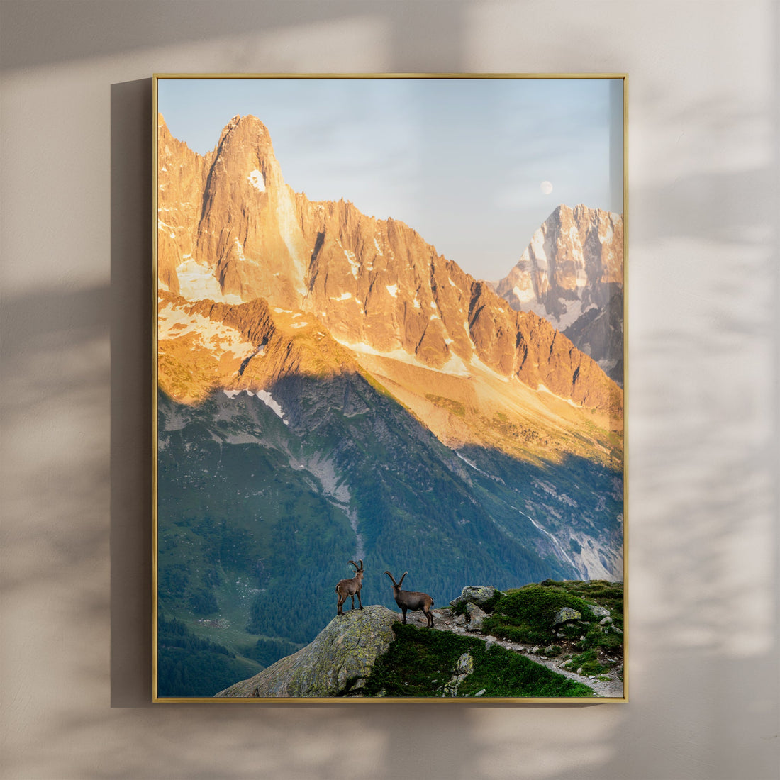 Stunning Les Drus ibex mountain wall art print capturing a golden sunset over the French Alps.