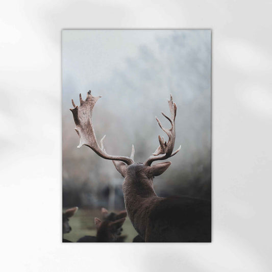 Close-up of a majestic stag with wide antlers in a misty German forest