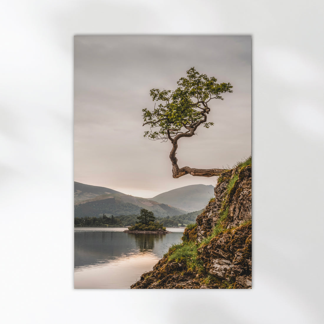 Minimalist landscape print of a tree growing sideways above a calm lake