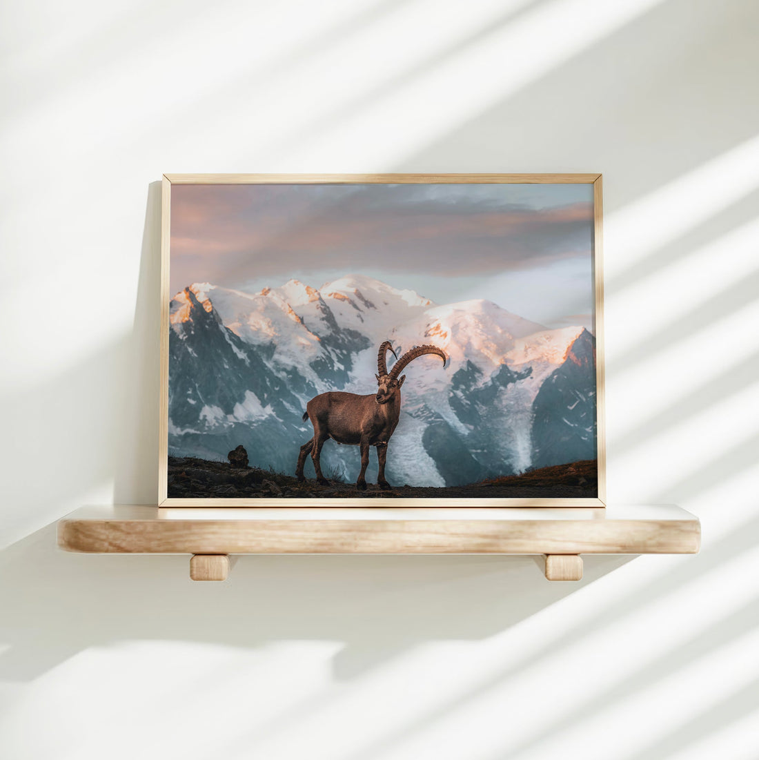 Animal wall decor print featuring an ibex and panoramic alpine scenery from the Mont Blanc region.