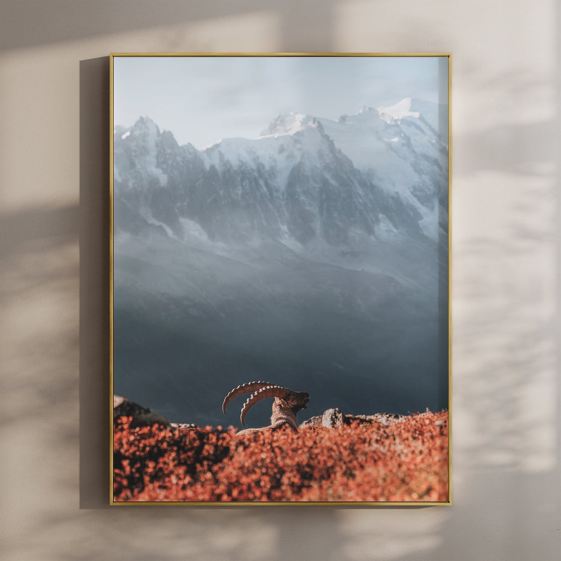 A majestic Alpine ibex resting against the stunning backdrop of Mont Blanc in golden light.
