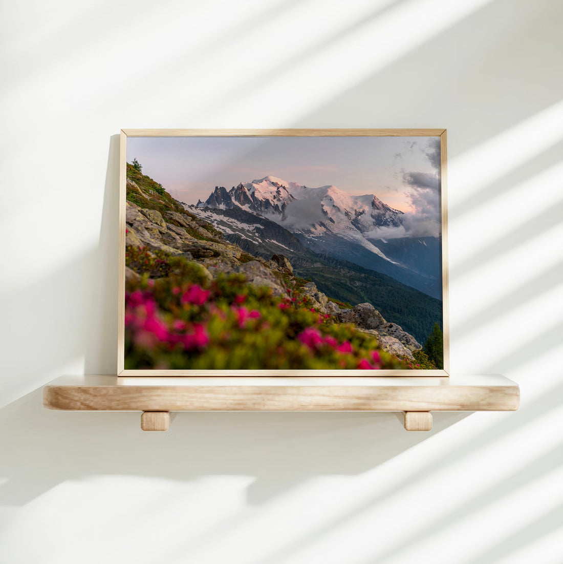 Landscape photography print of Mont Blanc during a dramatic sunset, framed by alpine vegetation.