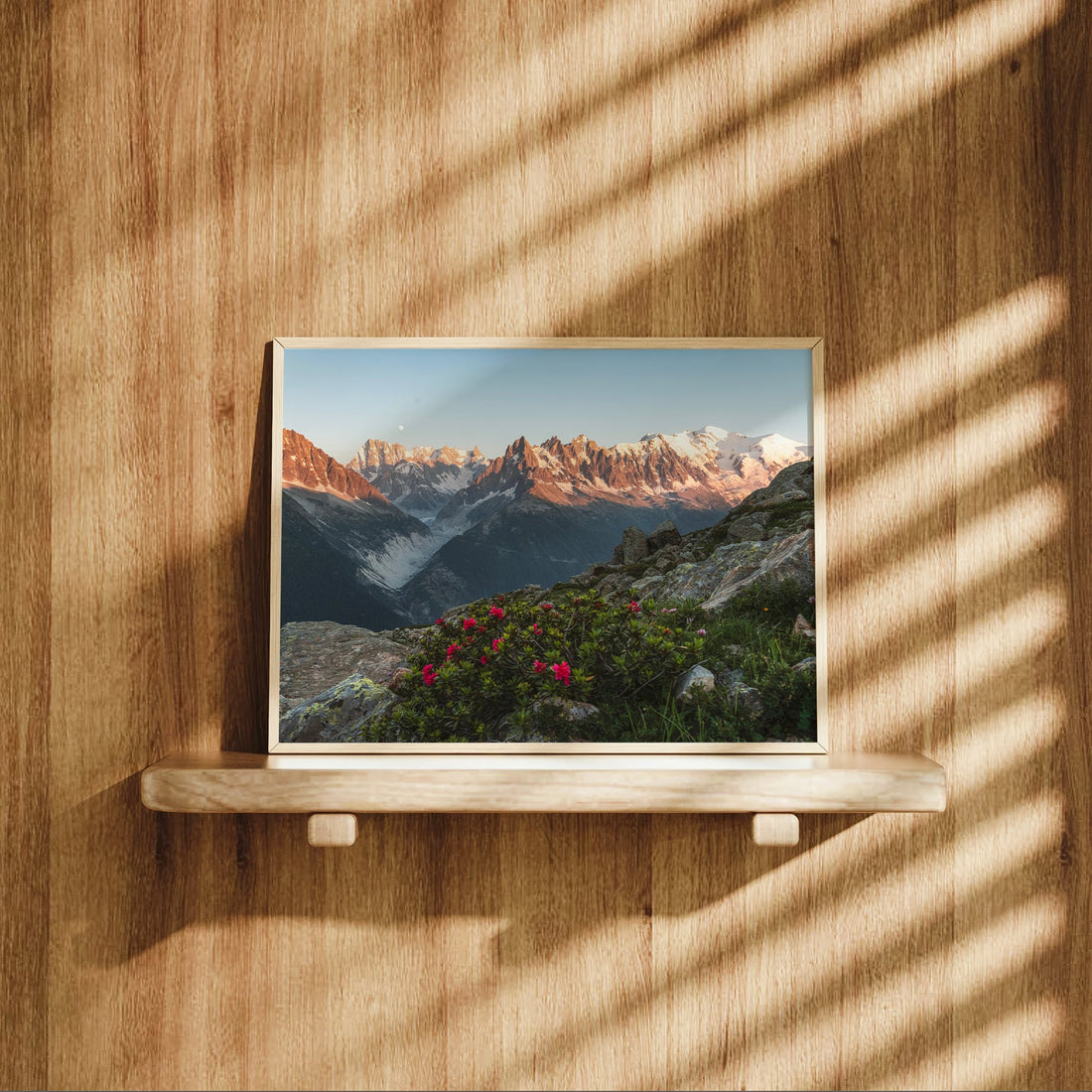 Stunning landscape print of Mont Blanc and Aiguilles de Chamonix at dusk with floral foreground.
