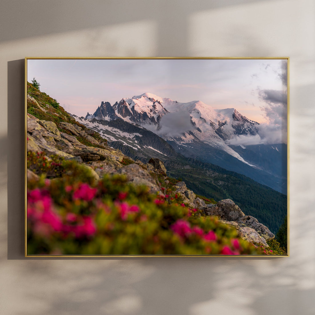 Mont Blanc sunset wall art print with alpine flowers in foreground, photographed in Chamonix, France.