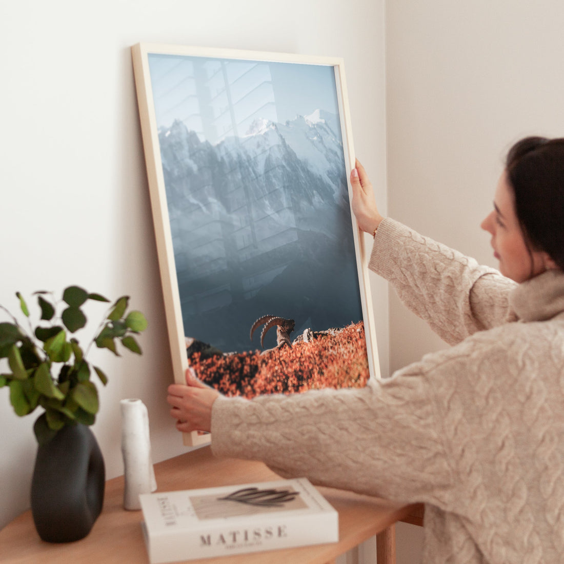 Captivating wildlife photography featuring an ibex gazing over Mont Blanc’s snow-capped peaks.