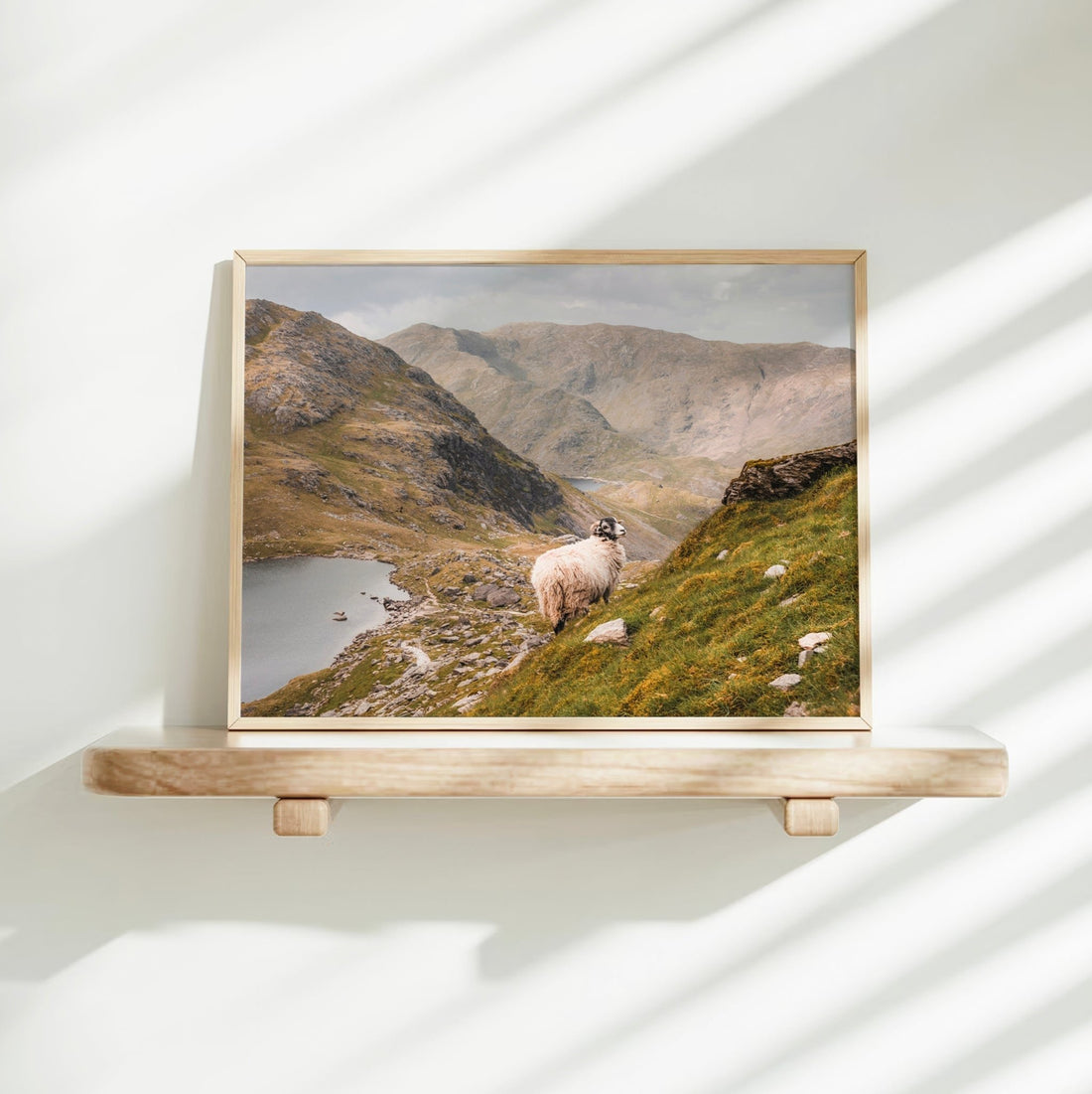 UK mountain art print of Old Man of Coniston on a sunlit wall shelf