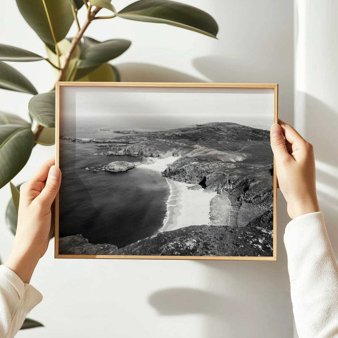 Framed print of Murder Hole Beach in black and white held by hands near a plant in sunlight.