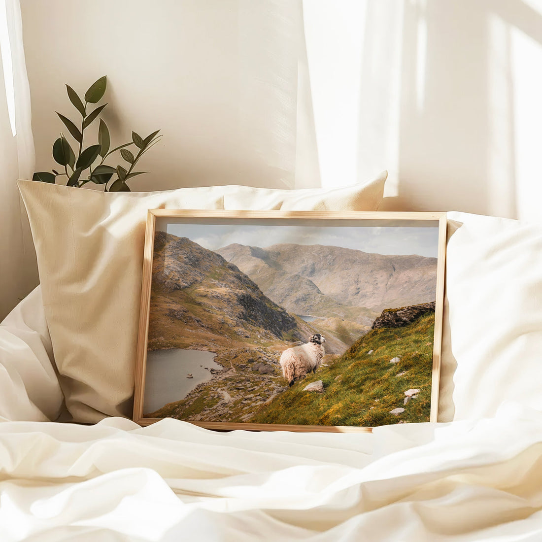 Coniston landscape print with sheep, styled in a bright natural bedroom