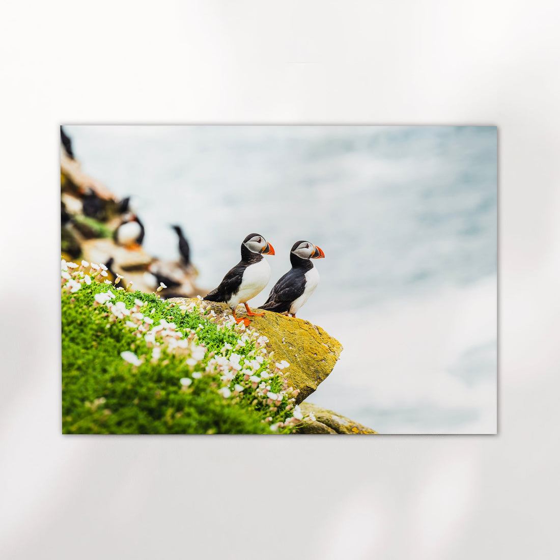 Two puffins on a yellow rock with ocean waves behind them