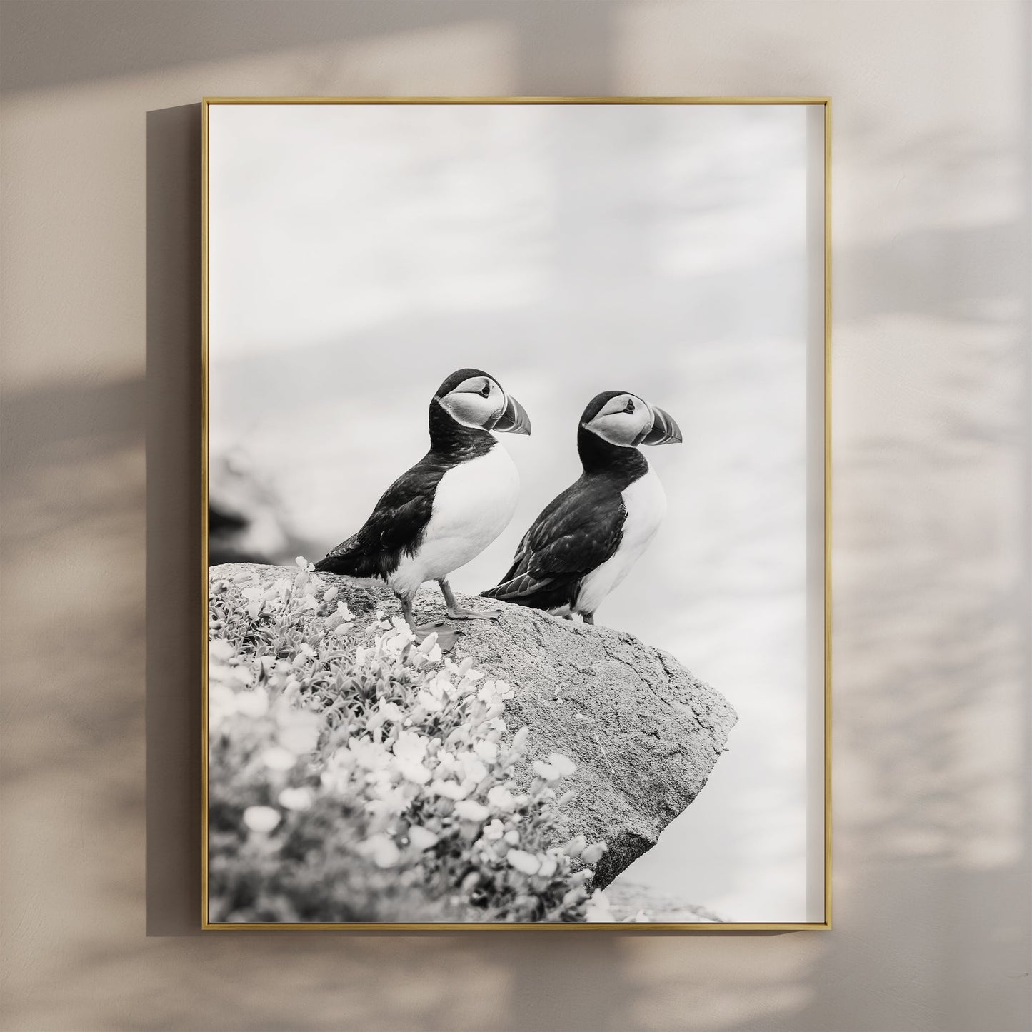 Black and white photo print of two puffins on a cliff in Ireland.