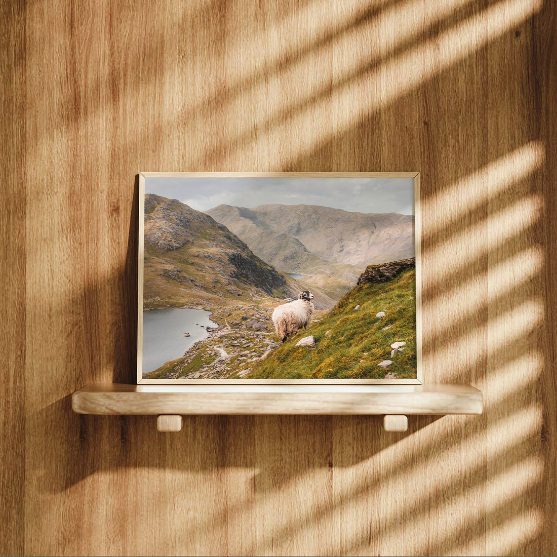 Framed Old Man of Coniston print resting on a wooden shelf in golden light
