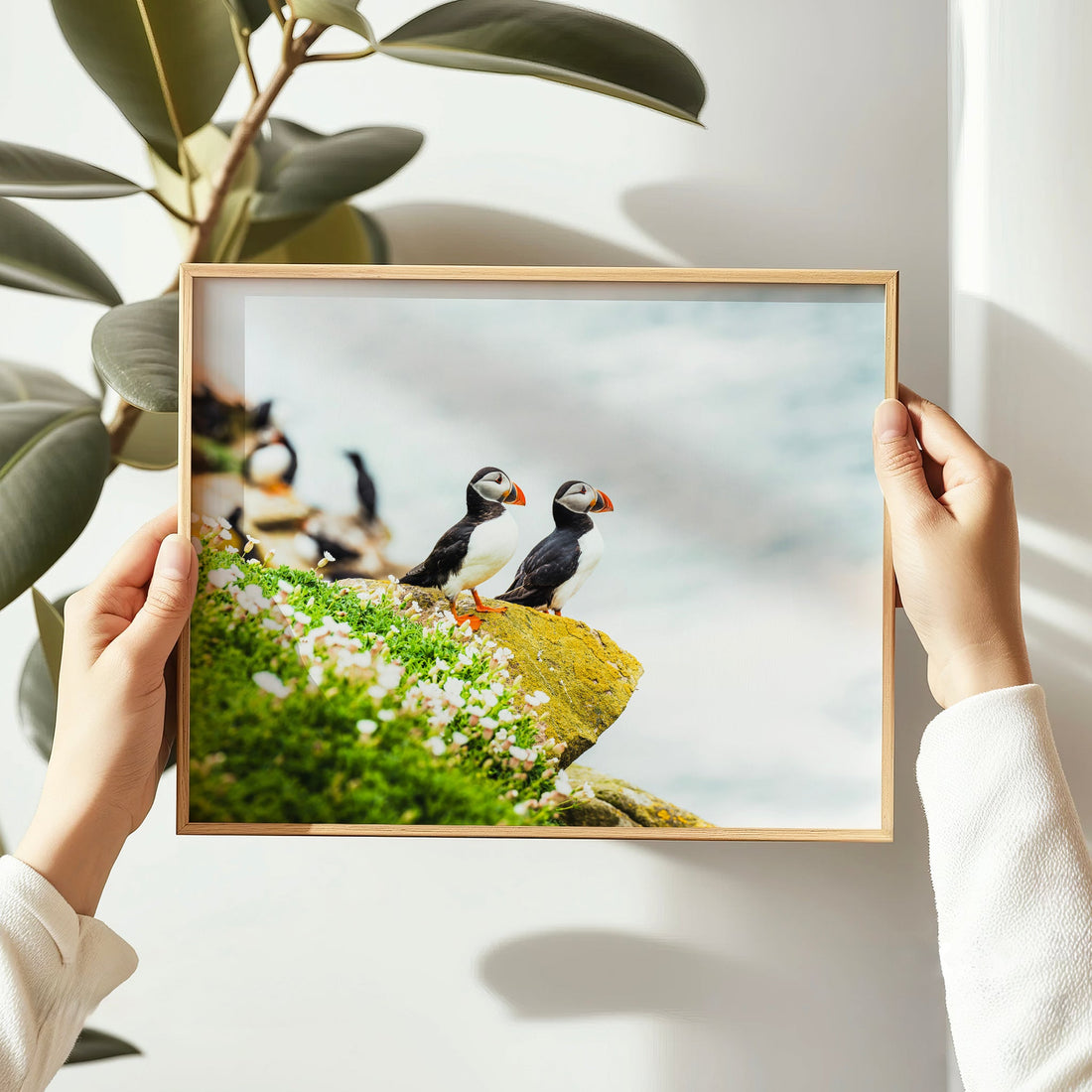 Framed puffin print being held by hands in natural indoor light