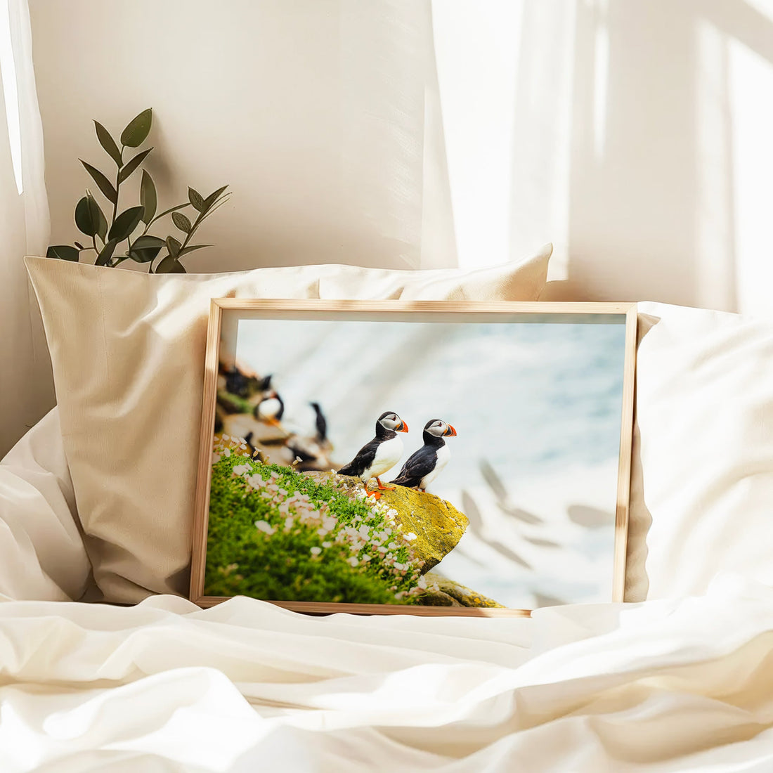 Puffin photograph leaning on a bookshelf styled with indoor plants and decor