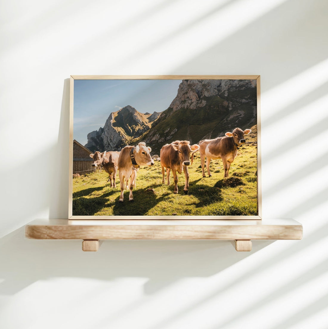 Scenic pastoral print of Appenzell cows, set against a breathtaking alpine mountain range.