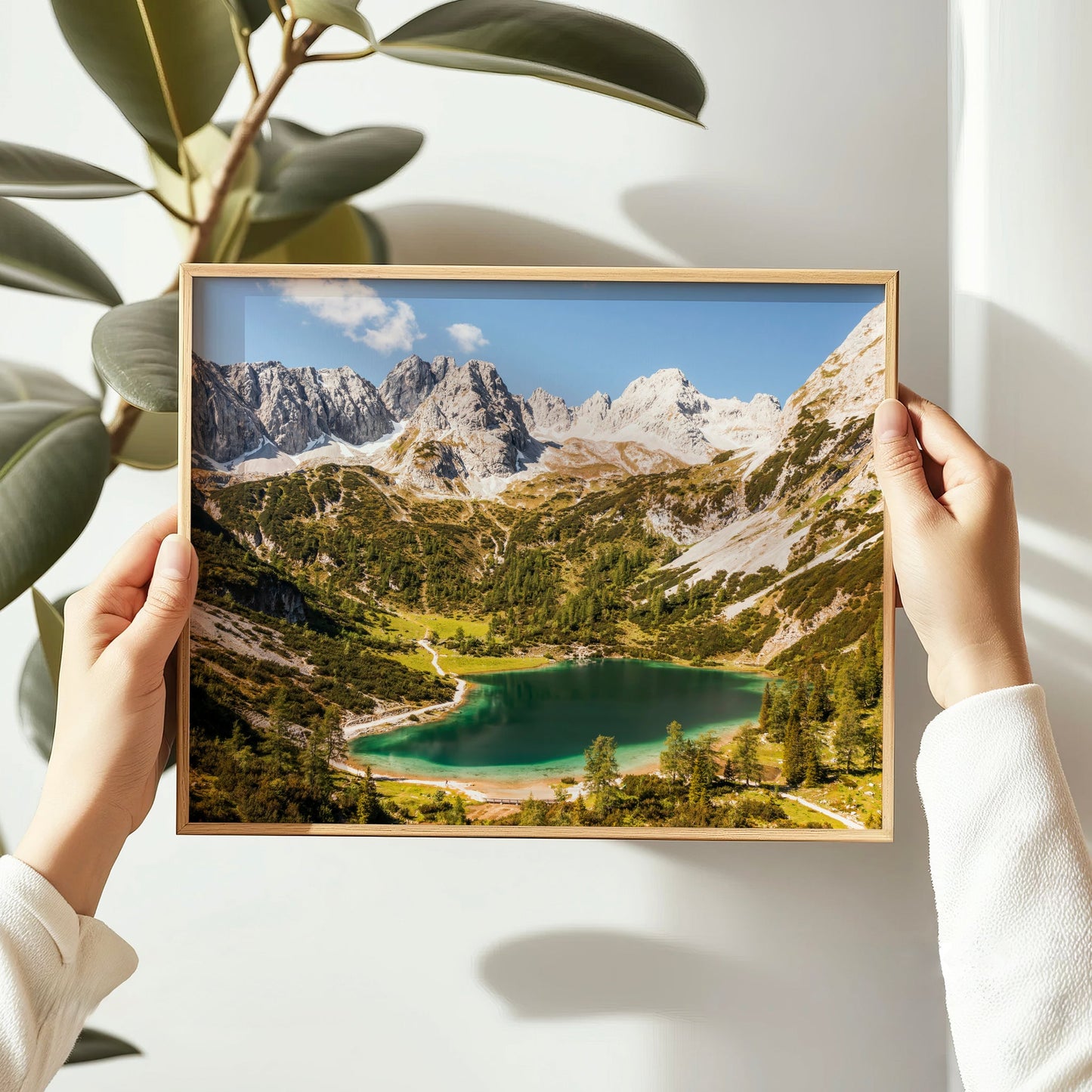 Framed Seebensee alpine lake print held in hands with plant background