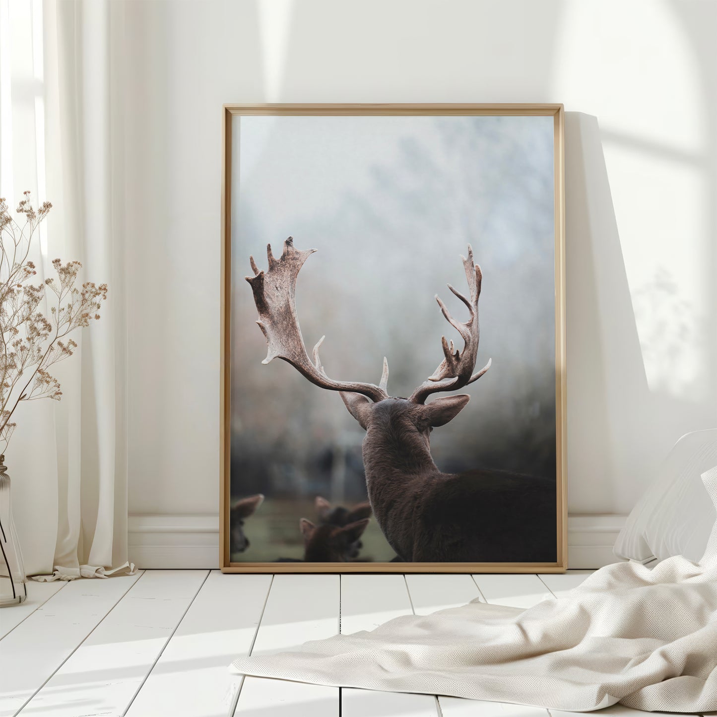 Natural light on a deer’s antlers with a forest background in Germany