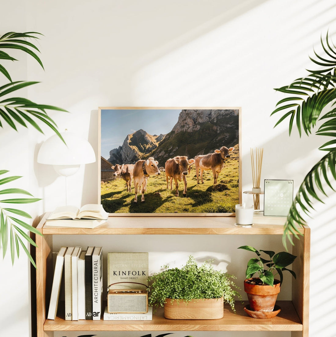 A stunning Swiss farm life photography print with cows grazing beneath the dramatic peaks of the Alps.