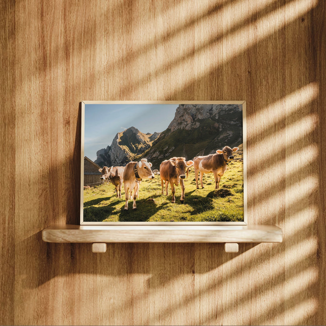 Switzerland countryside wall art featuring a charming herd of cows under the warm alpine sun.