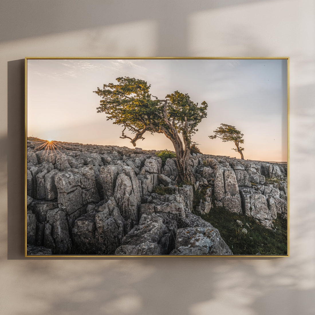Sunrise over Twisleton Scars tree and limestone pavement in the Yorkshire Dales