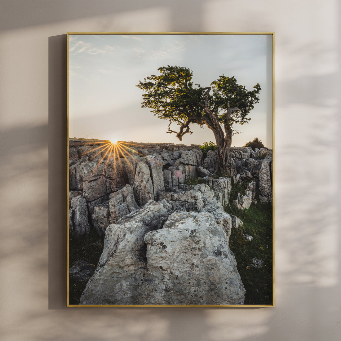 Sunset over Twistleton Scars with tree and glowing limestone pavement