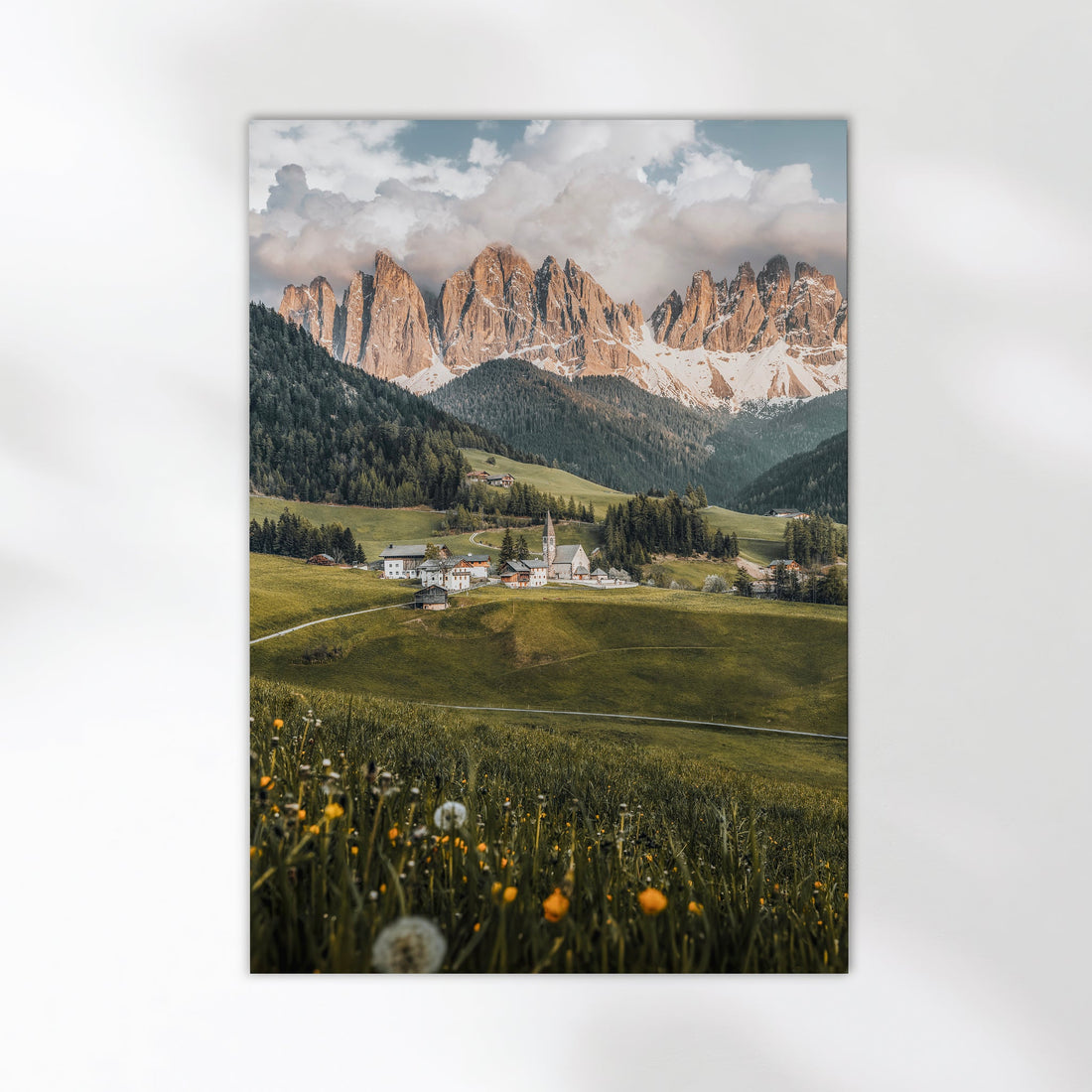 Detailed view of Val di Funes alpine scene with wildflowers and snowy Dolomites