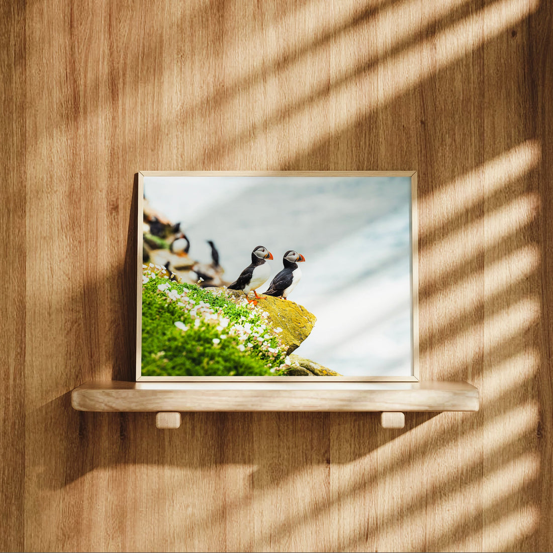 Puffin wall art displayed on a wooden shelf with dramatic shadows