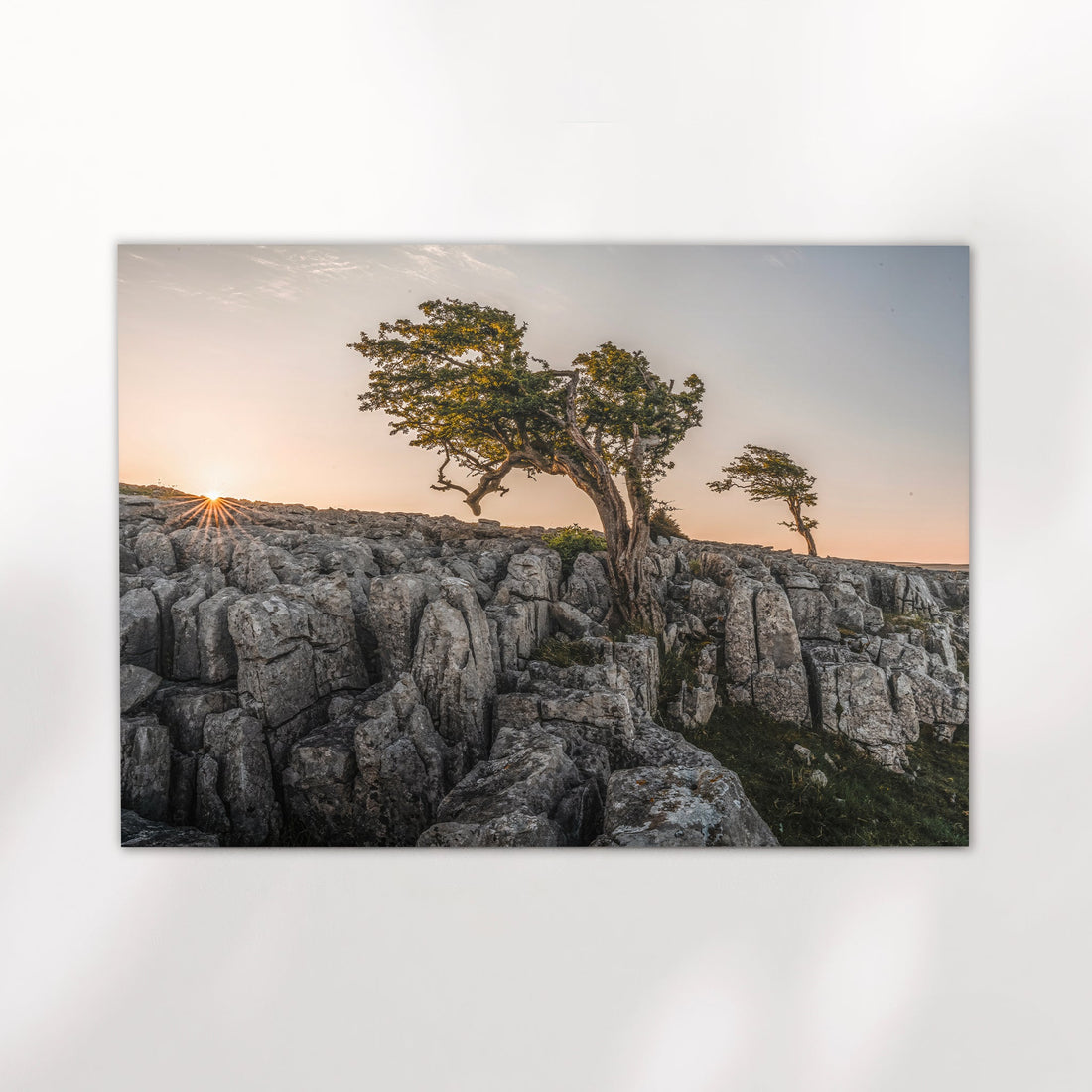 Yorkshire Dales limestone pavement and tree landscape wall art