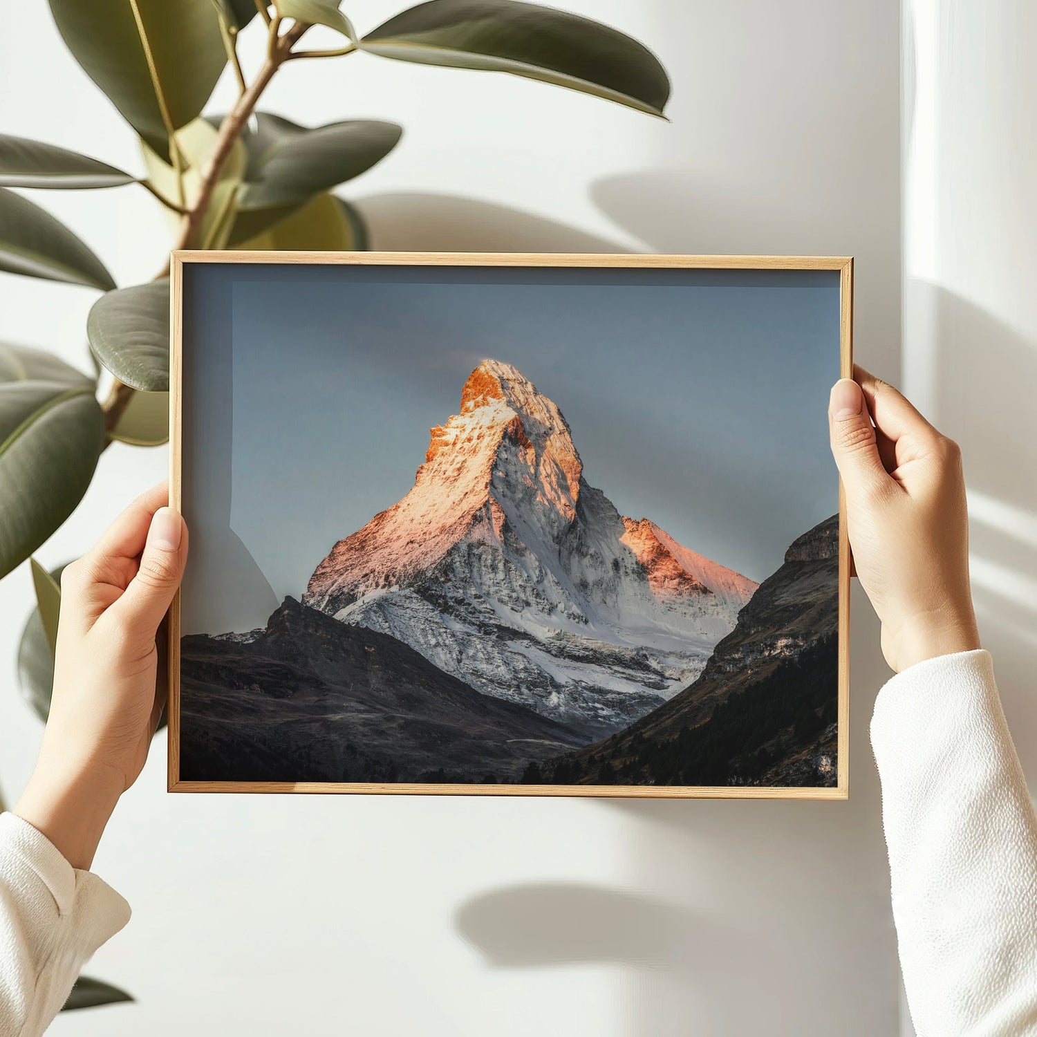 Matterhorn fine art print displayed in modern interior with plant decor