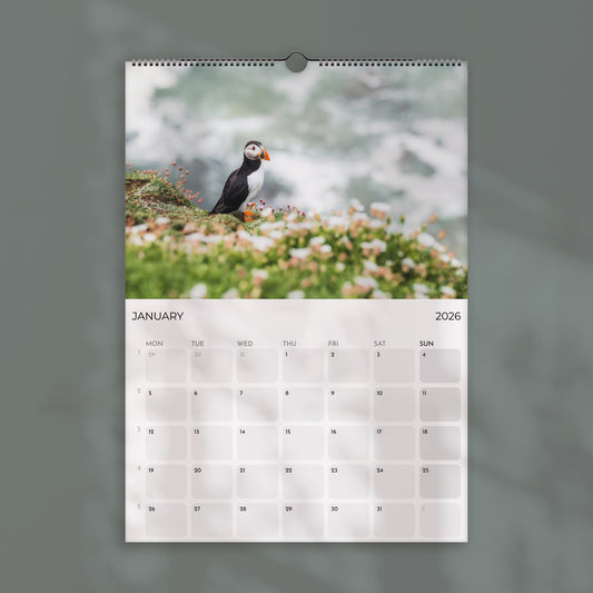 Puffins 2026 Wall Calendar – Wildlife & Bird Photography