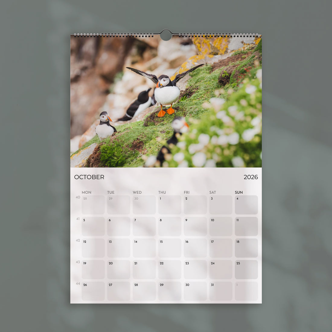 Puffins 2026 Wall Calendar – Wildlife & Bird Photography
