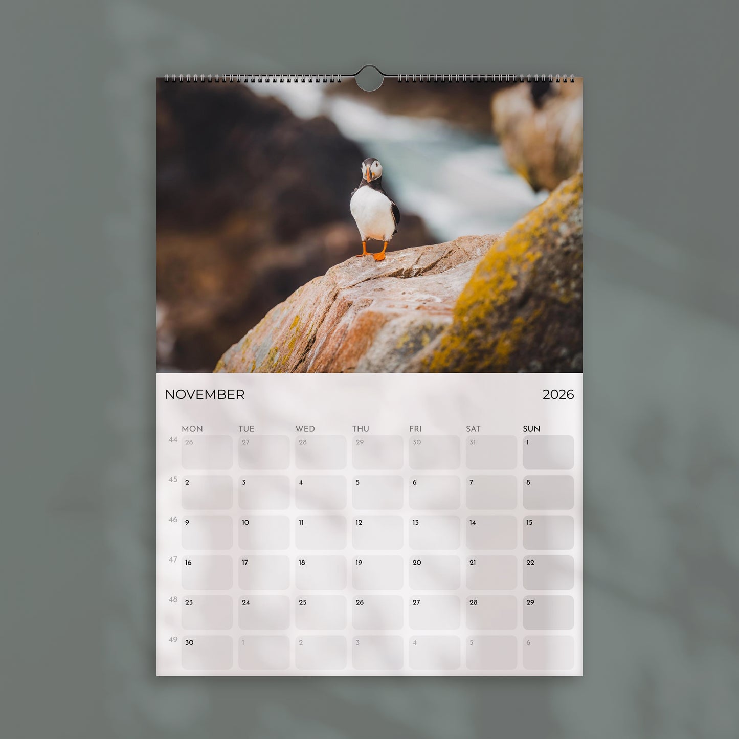 Puffins 2026 Wall Calendar – Wildlife & Bird Photography