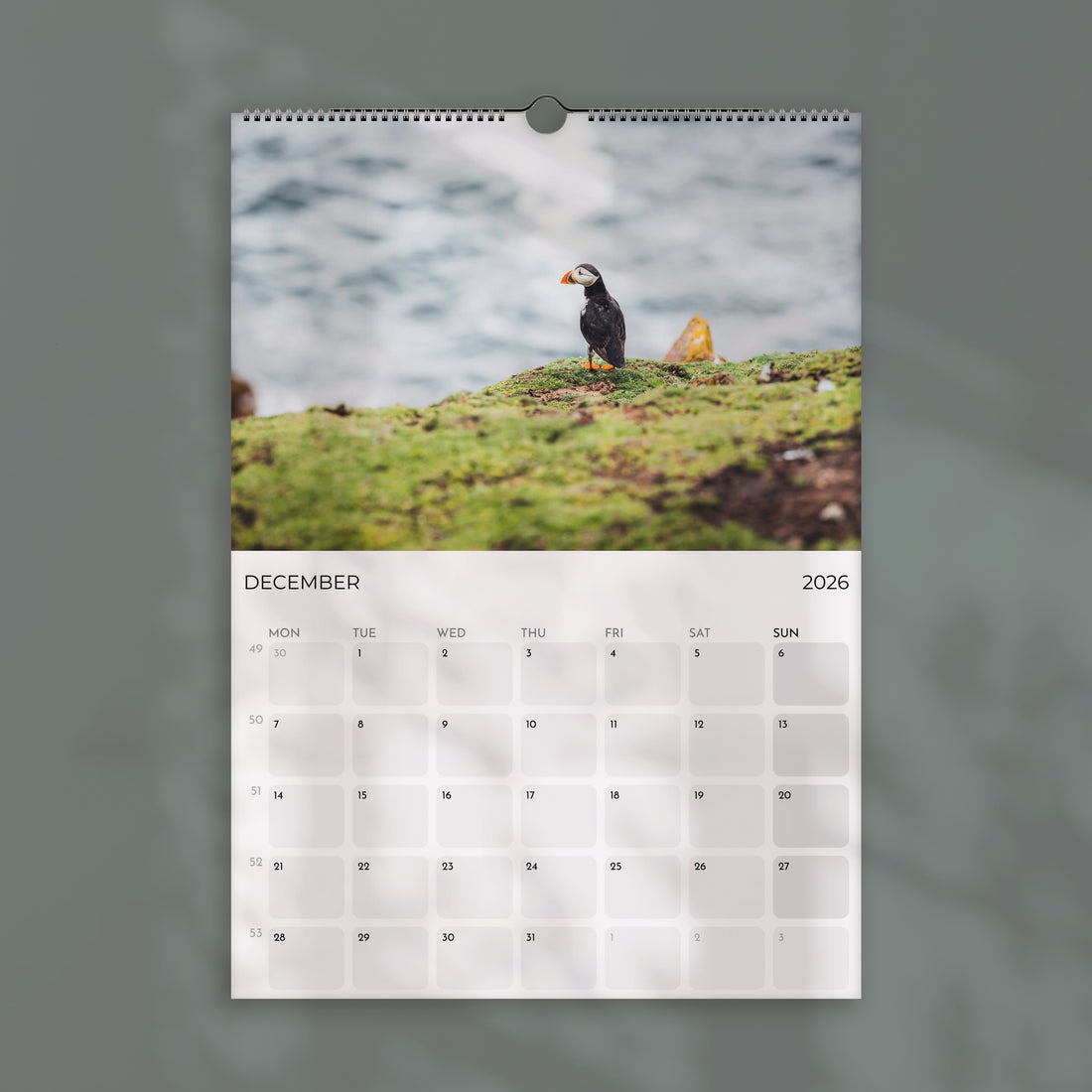 Puffins 2026 Wall Calendar – Wildlife & Bird Photography