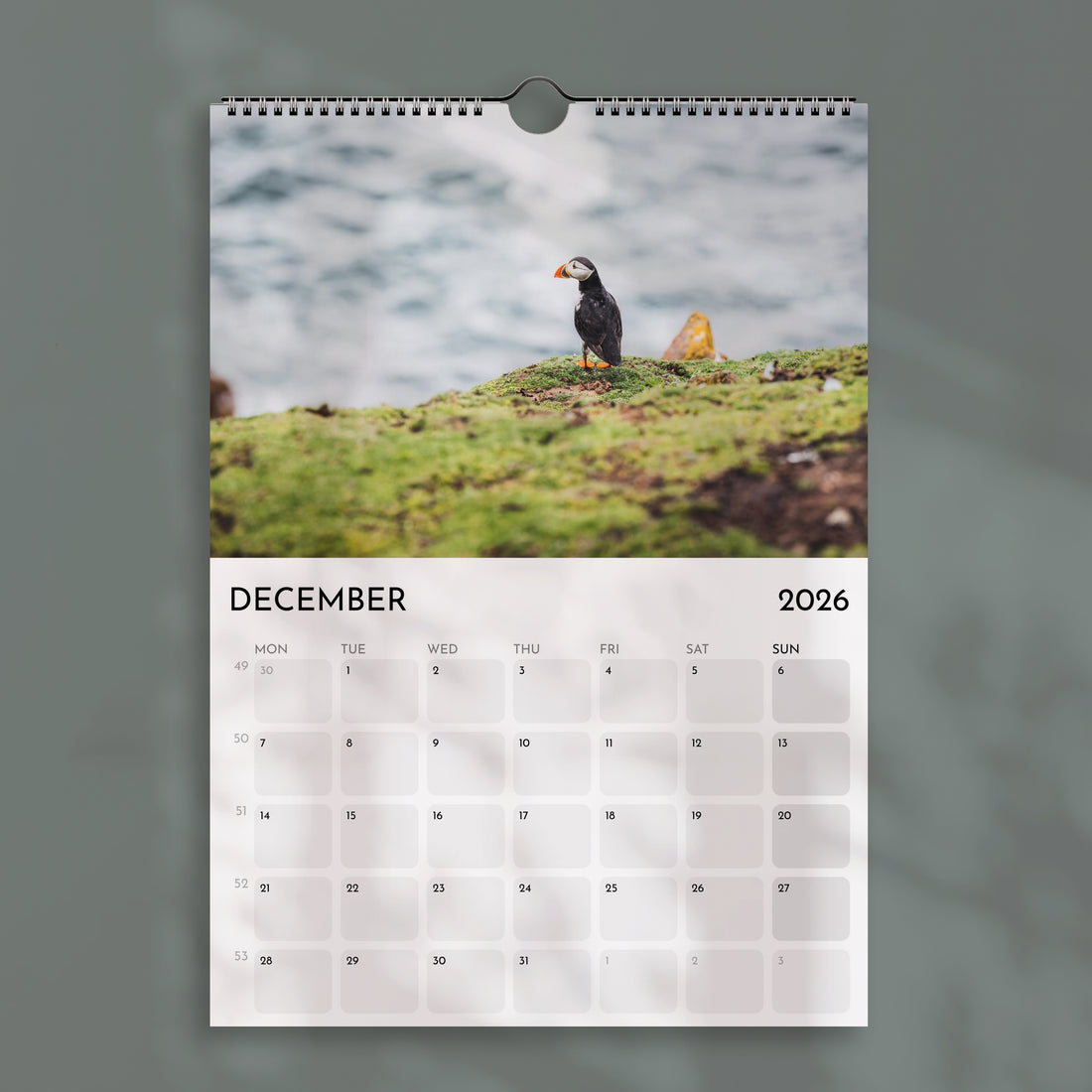 Calendrier des Alpes 2025