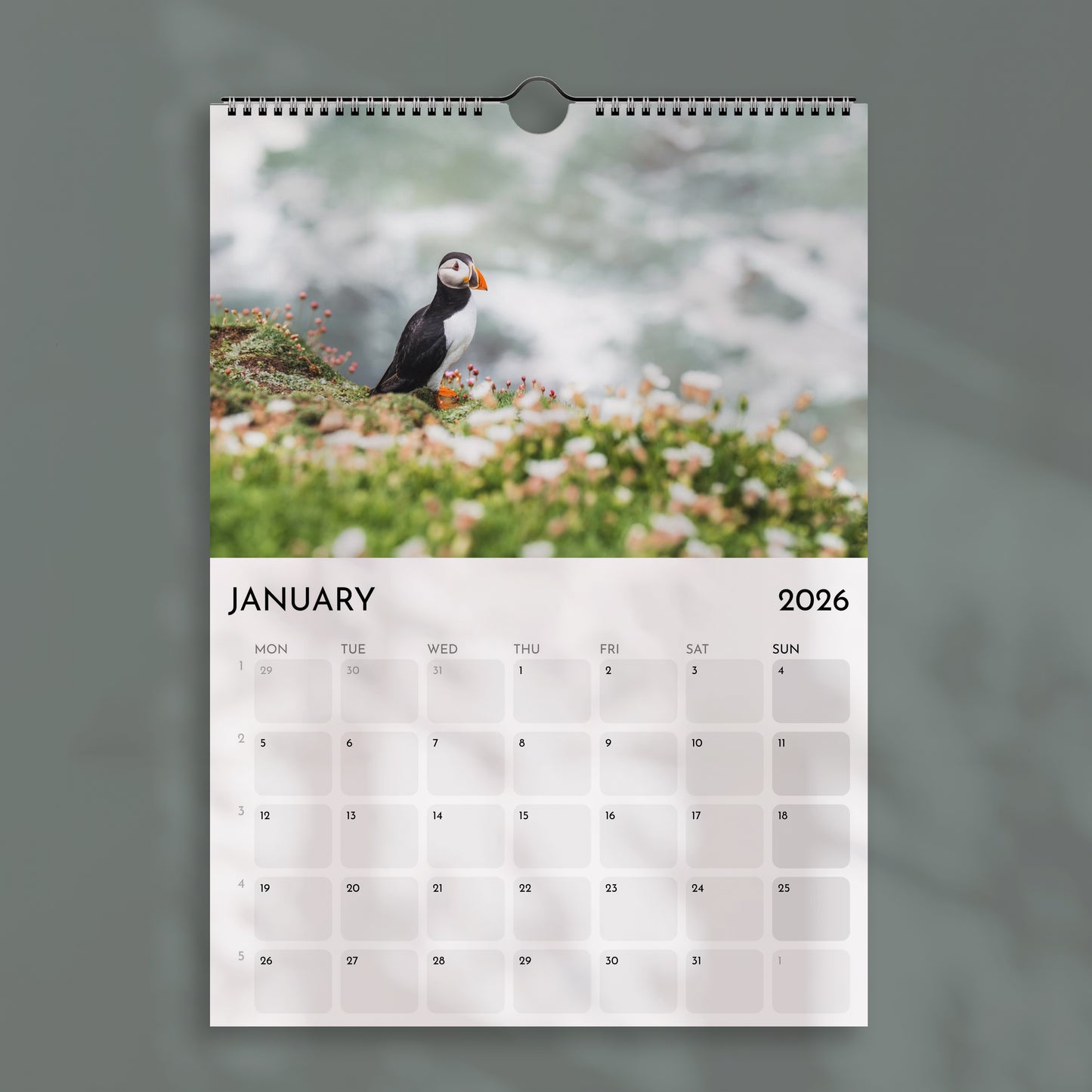 Calendrier des Alpes 2025