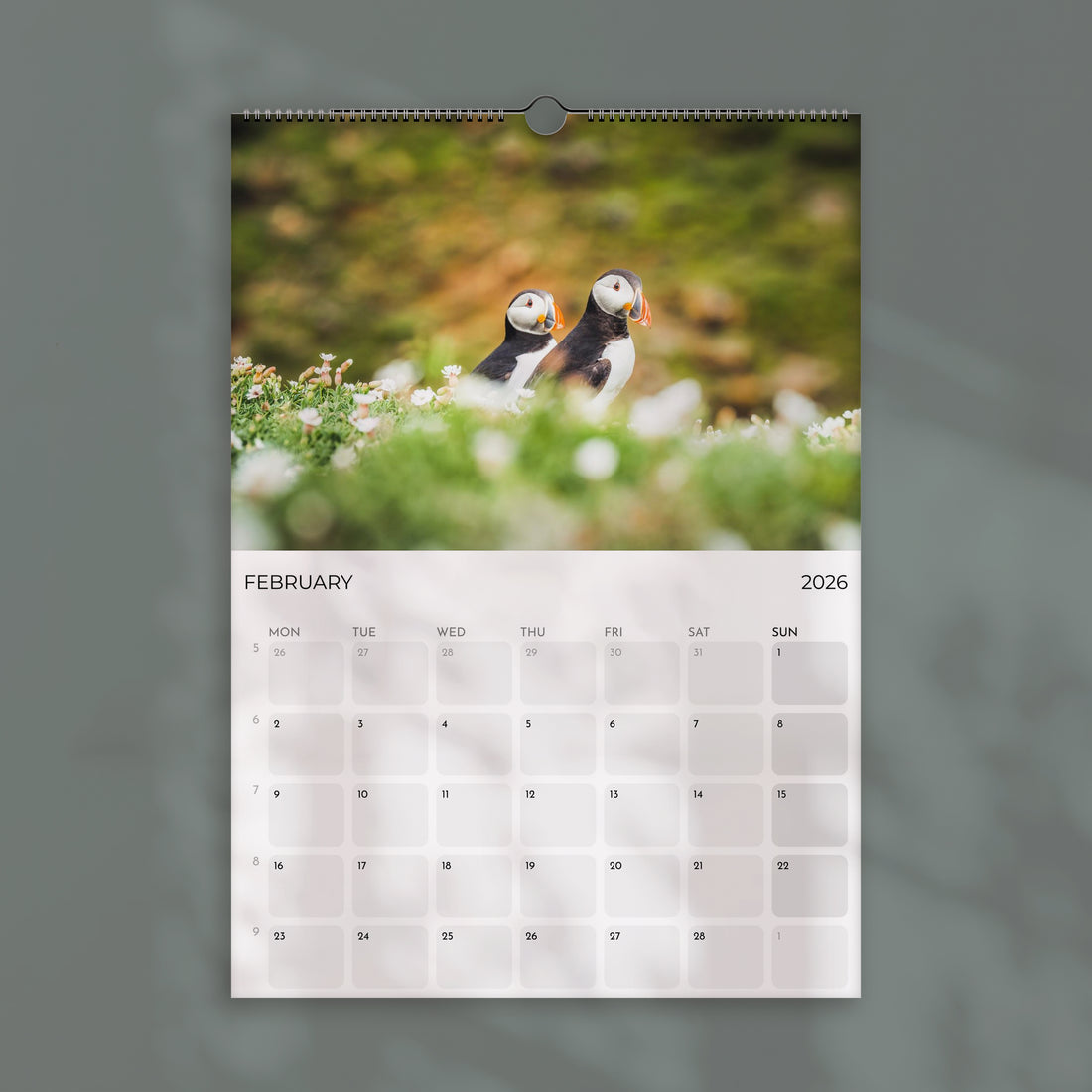 Puffins 2026 Wall Calendar – Wildlife & Bird Photography