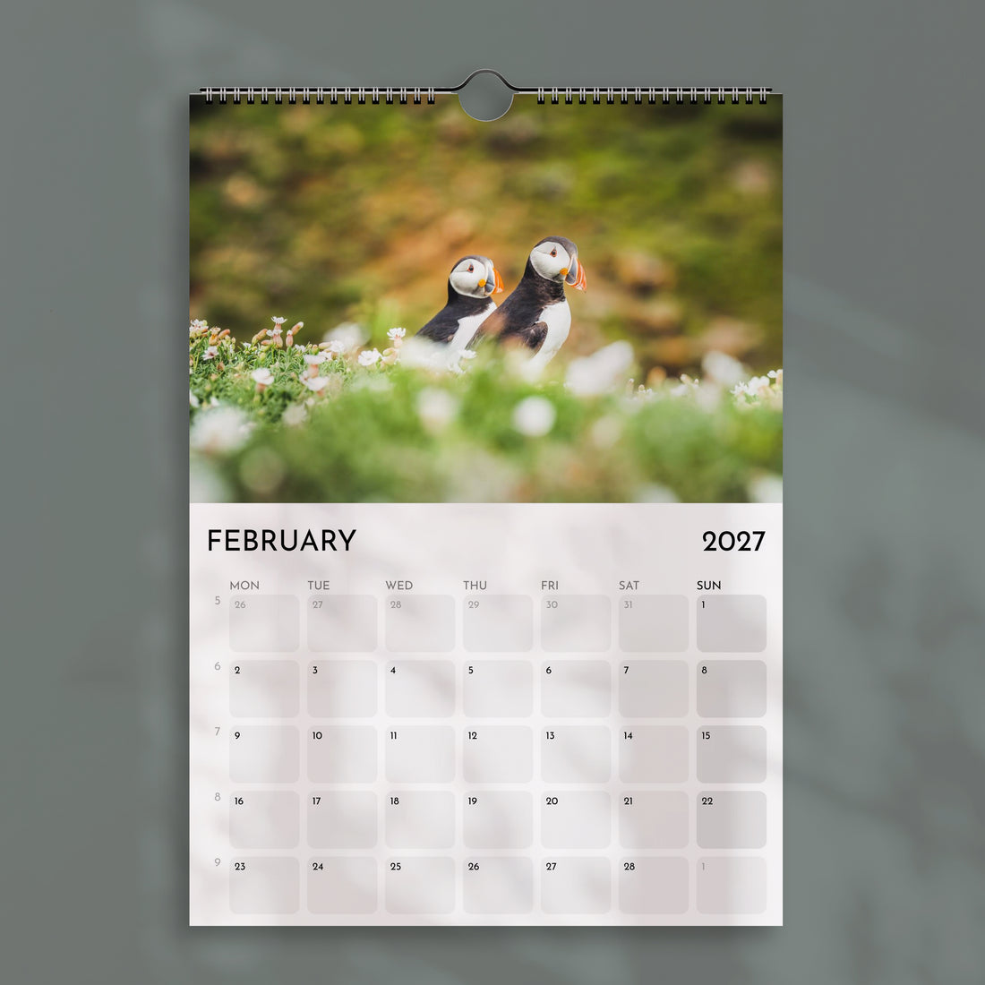 Der Alpenkalender 2025