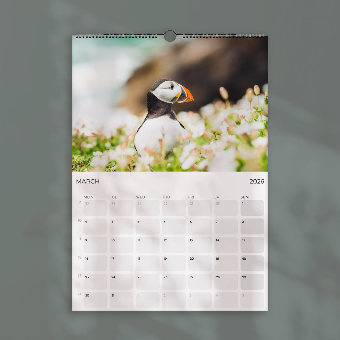 Puffins 2026 Wall Calendar – Wildlife & Bird Photography