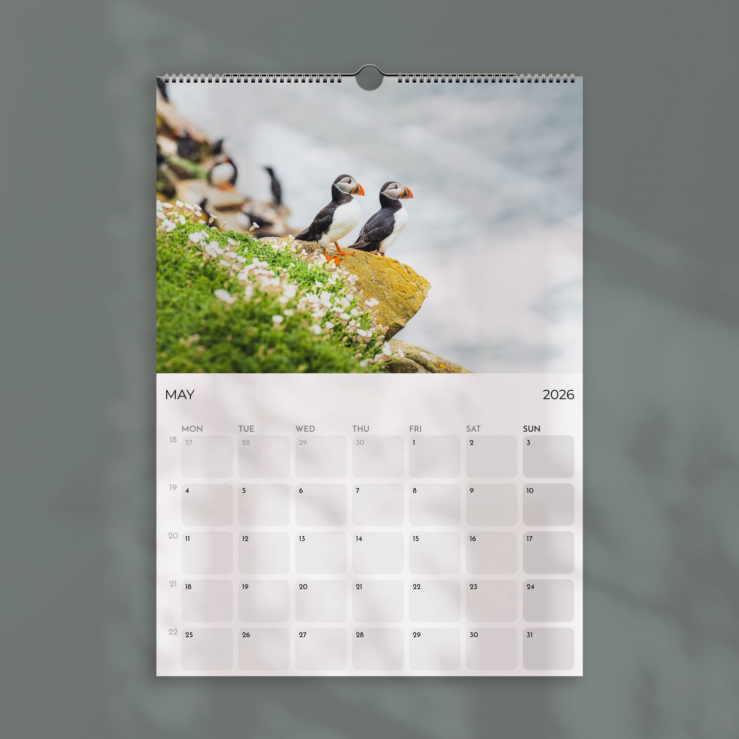 Puffins 2026 Wall Calendar – Wildlife & Bird Photography
