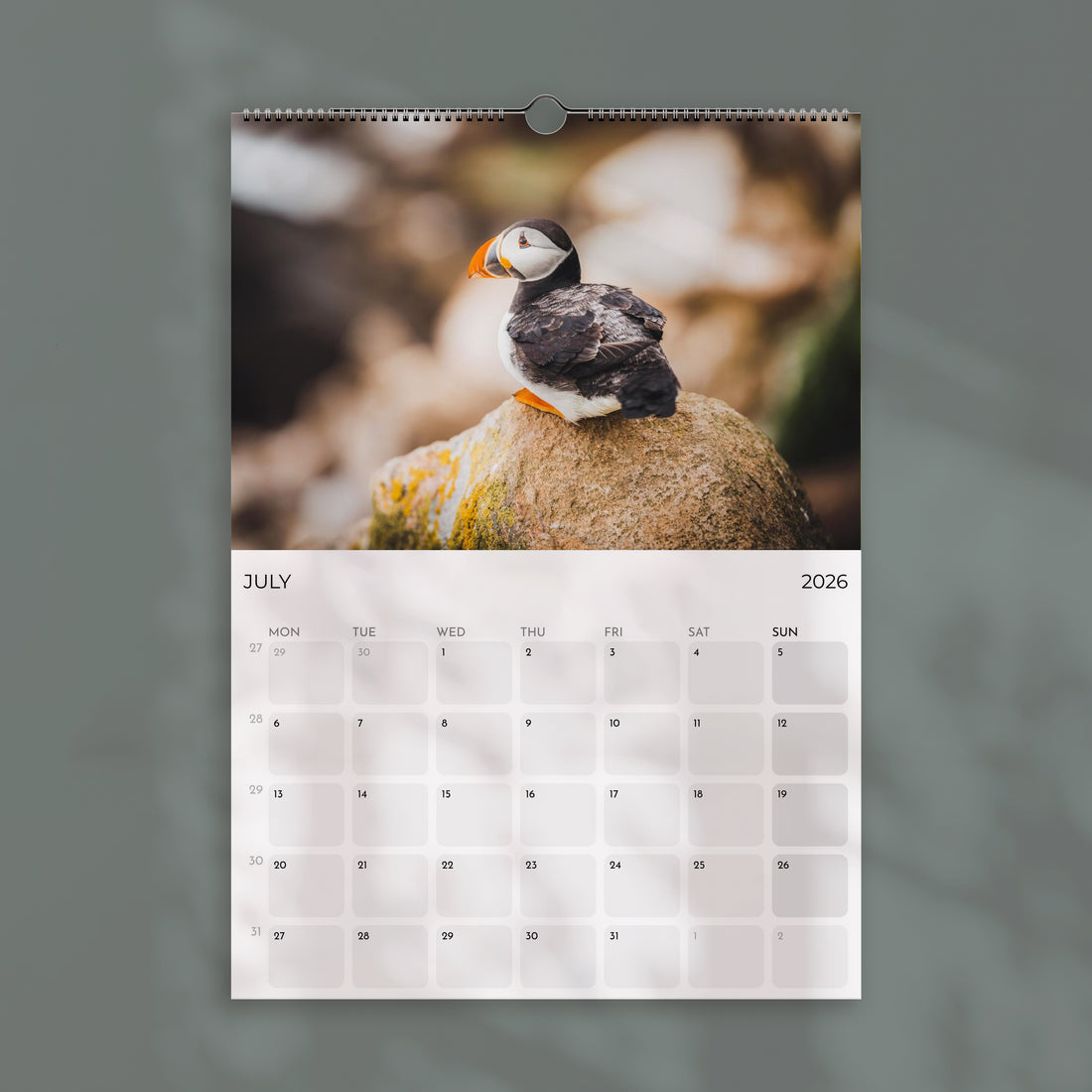 Puffins 2026 Wall Calendar – Wildlife & Bird Photography