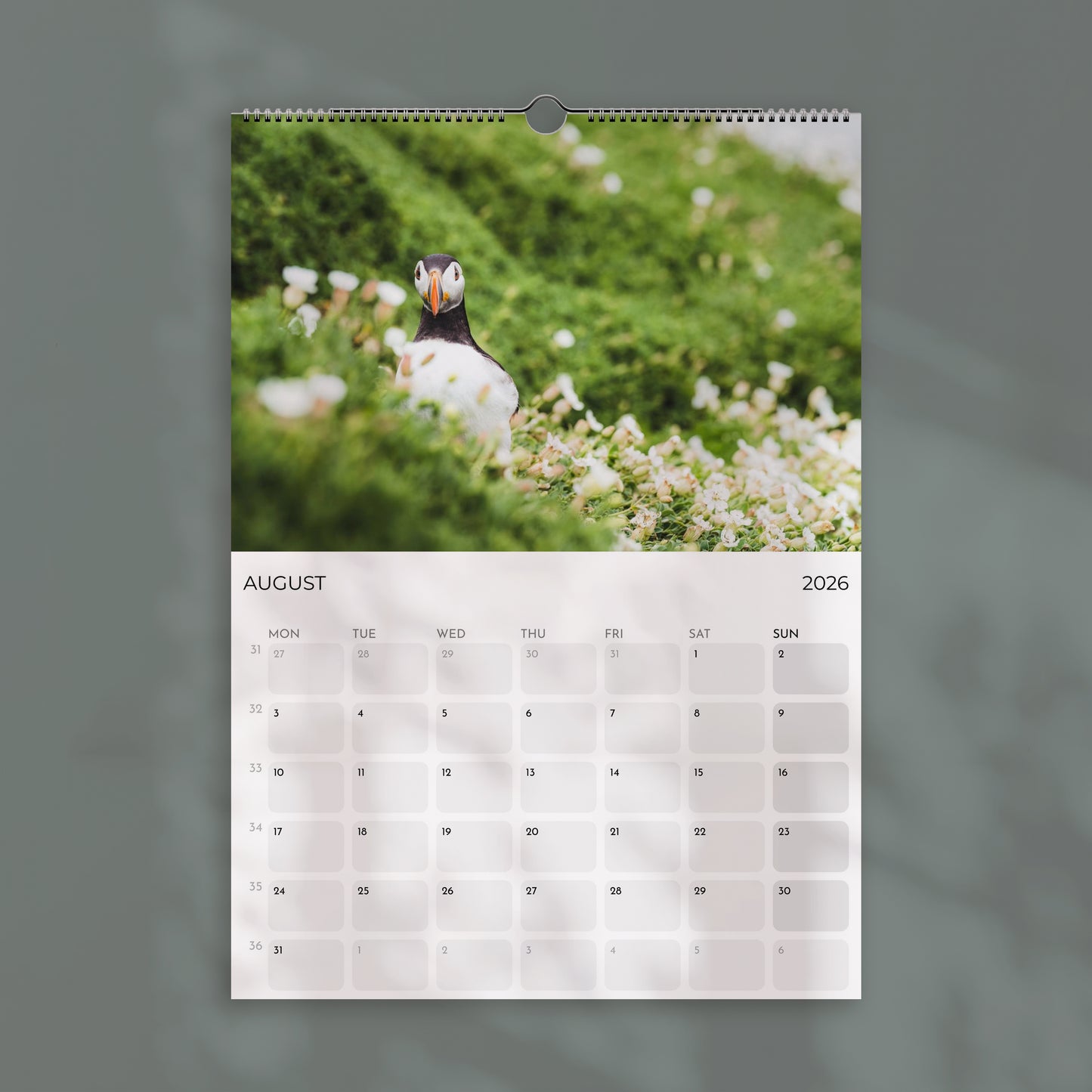 Puffins 2026 Wall Calendar – Wildlife & Bird Photography