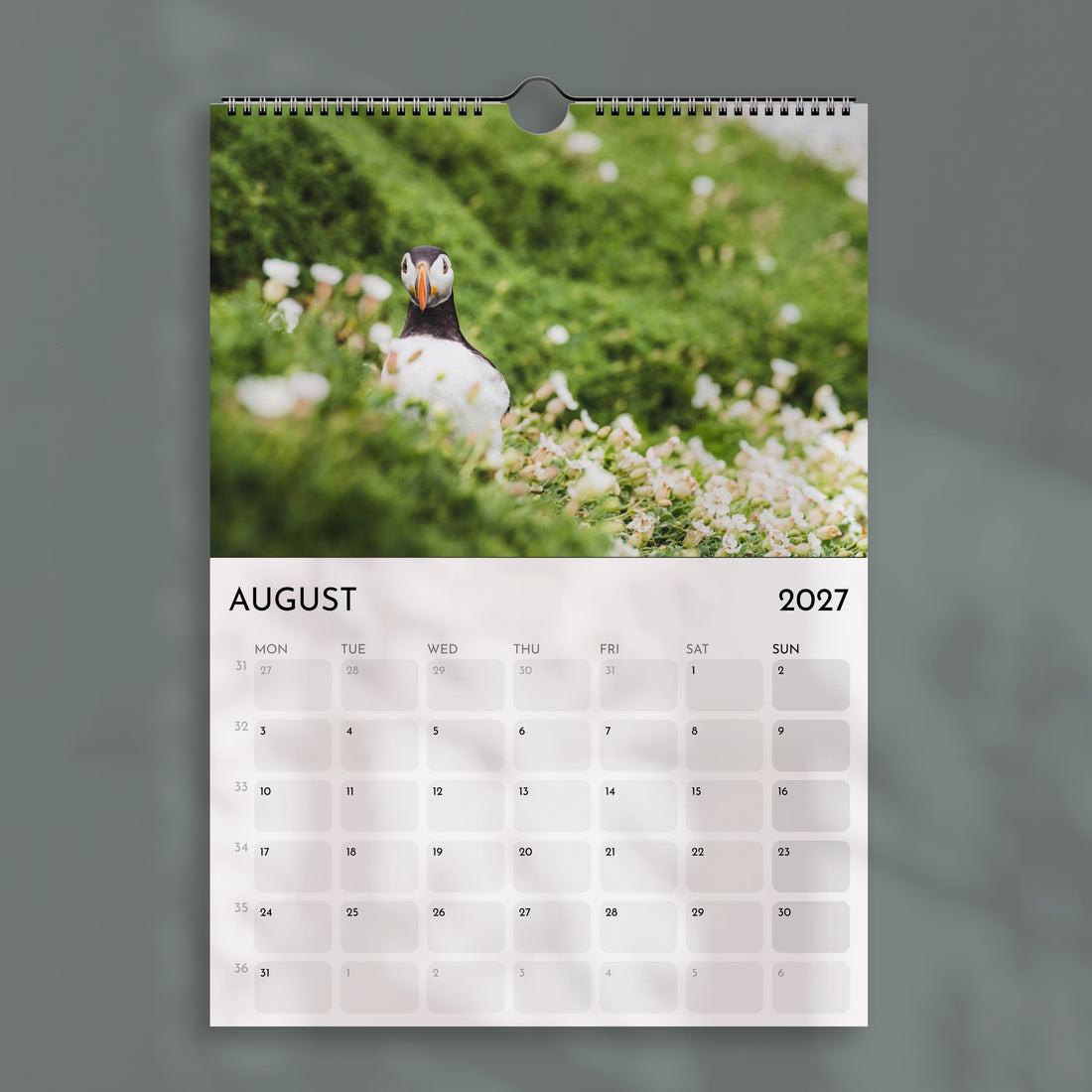 Der Alpenkalender 2025