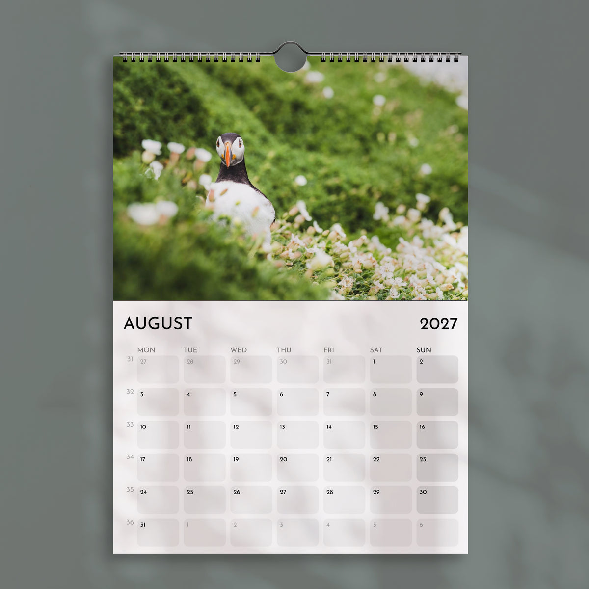 Der Alpenkalender 2025