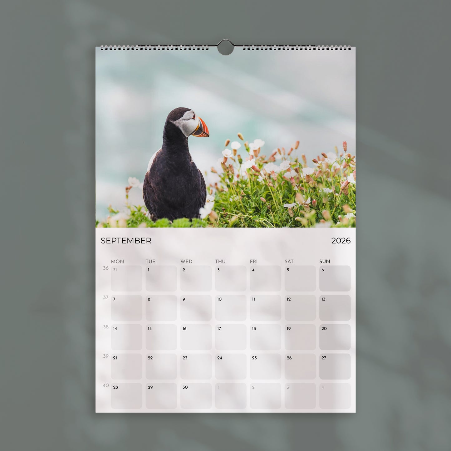 Puffins 2026 Wall Calendar – Wildlife & Bird Photography