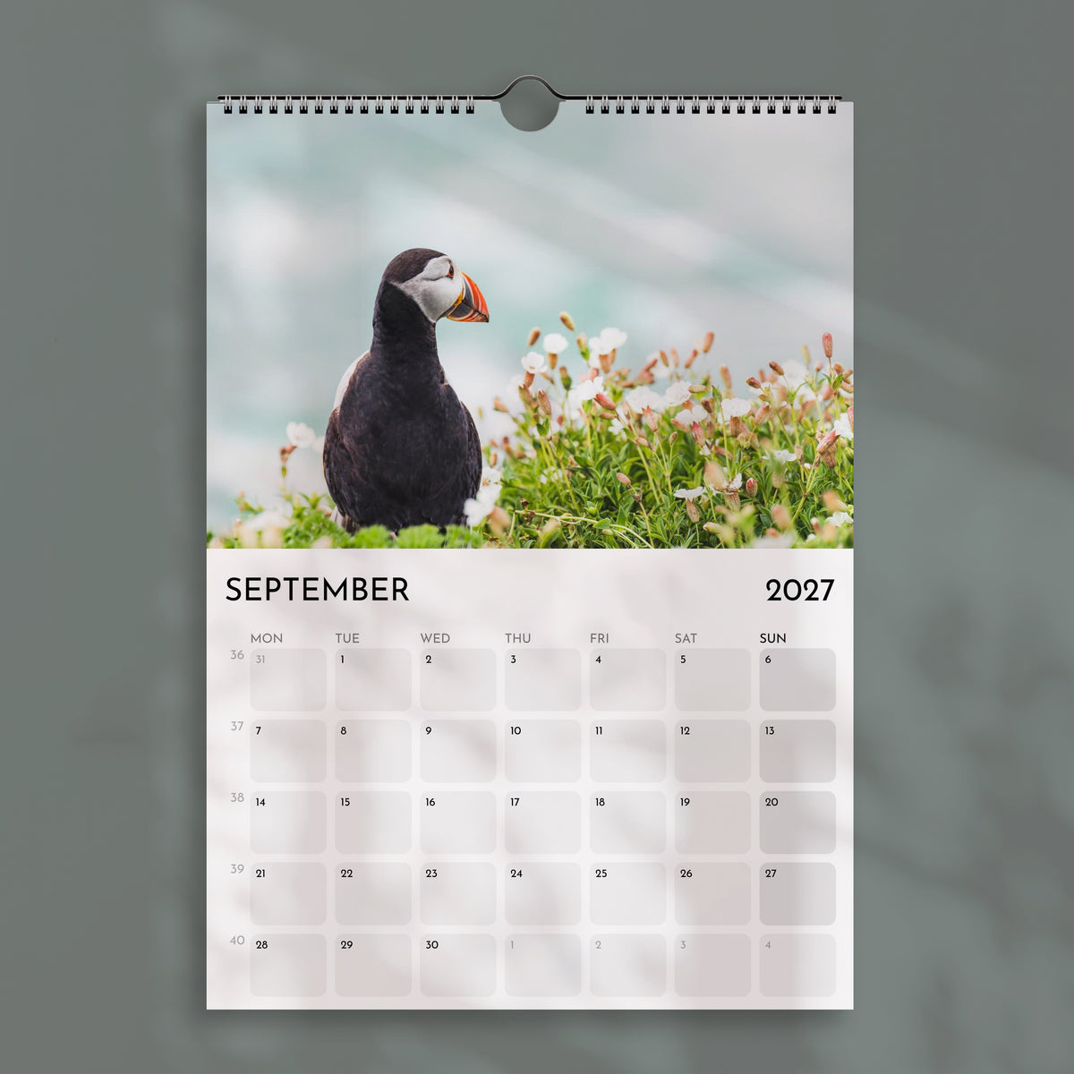 Der Alpenkalender 2025