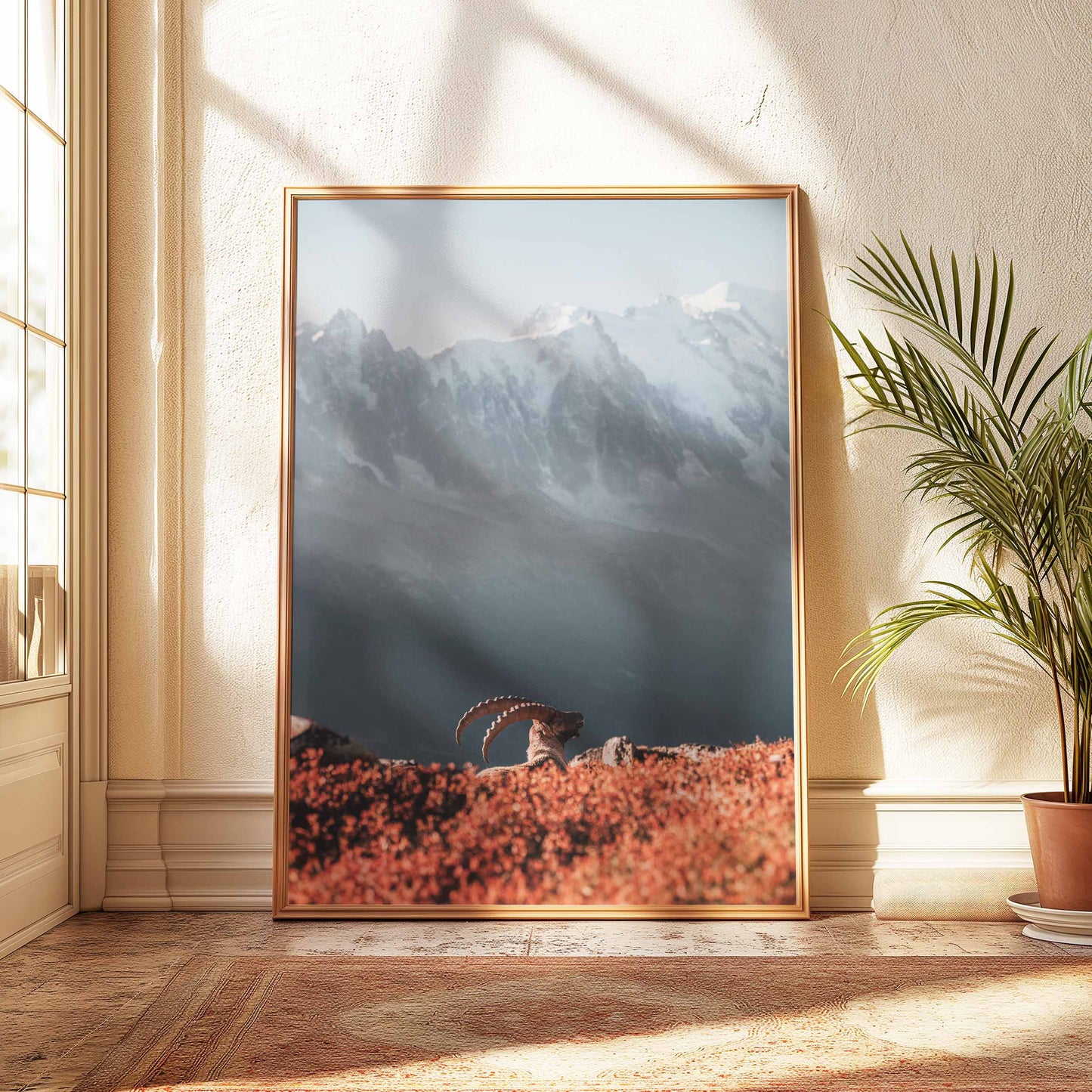 Chamonix ibex with sunset light on Mont Blanc massif, framed in natural wood.