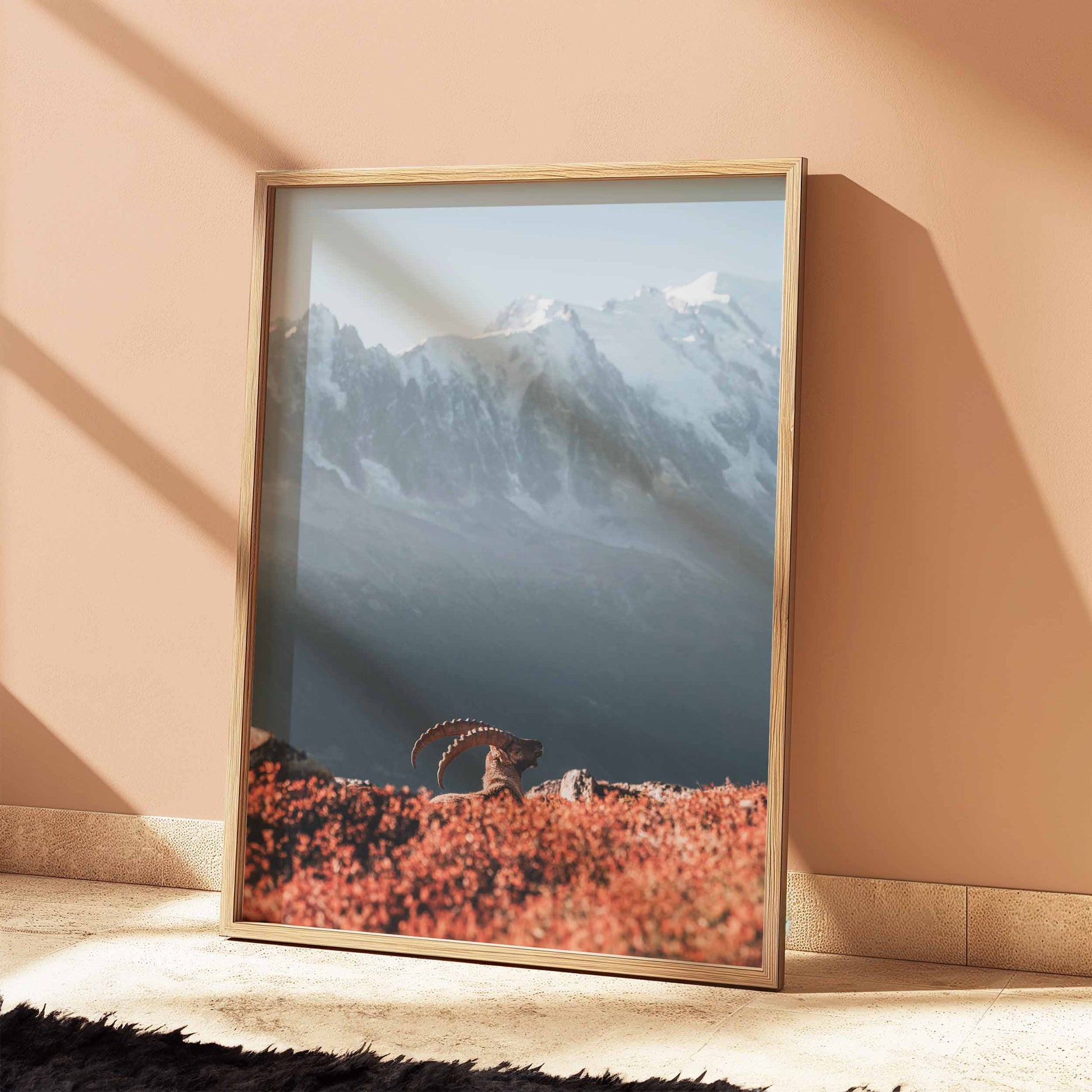 Ready-to-hang natural wood-framed ibex art, sunset over Mont Blanc.