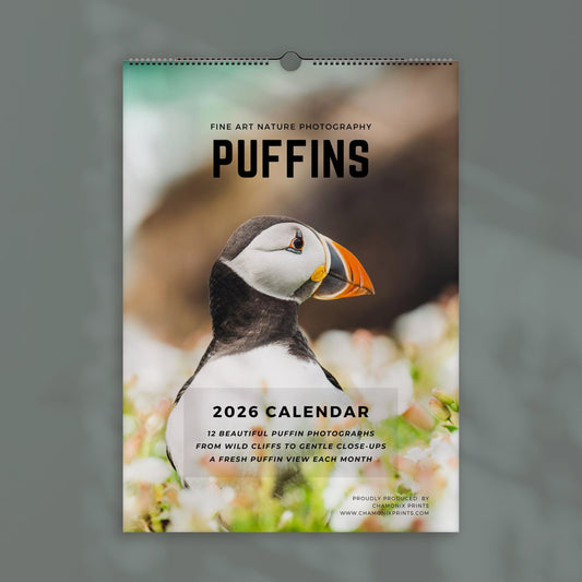 Puffins 2026 Wall Calendar – Wildlife & Bird Photography