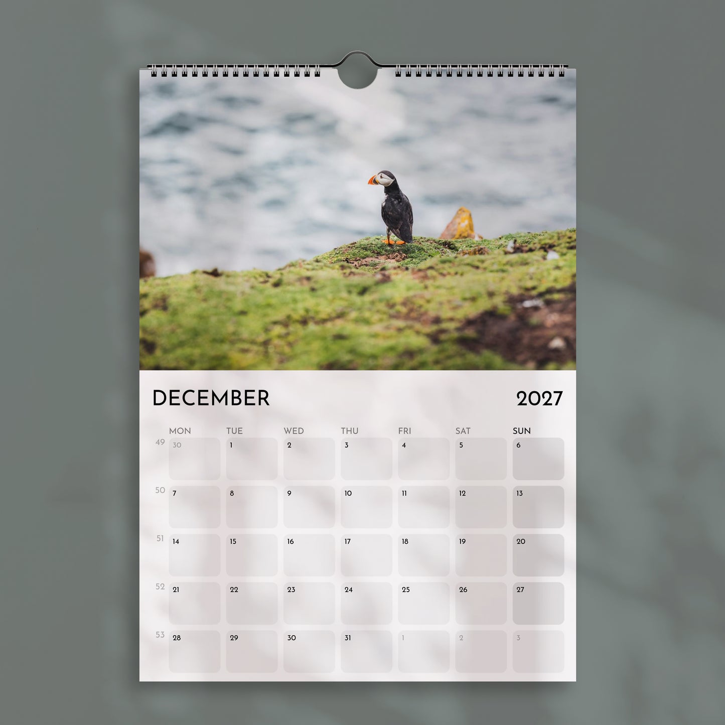 Der Alpenkalender 2025