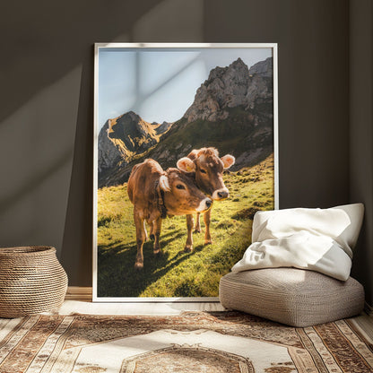 Alpine cows in a natural Appenzell Swiss Alps setting with rugged mountains in the background.