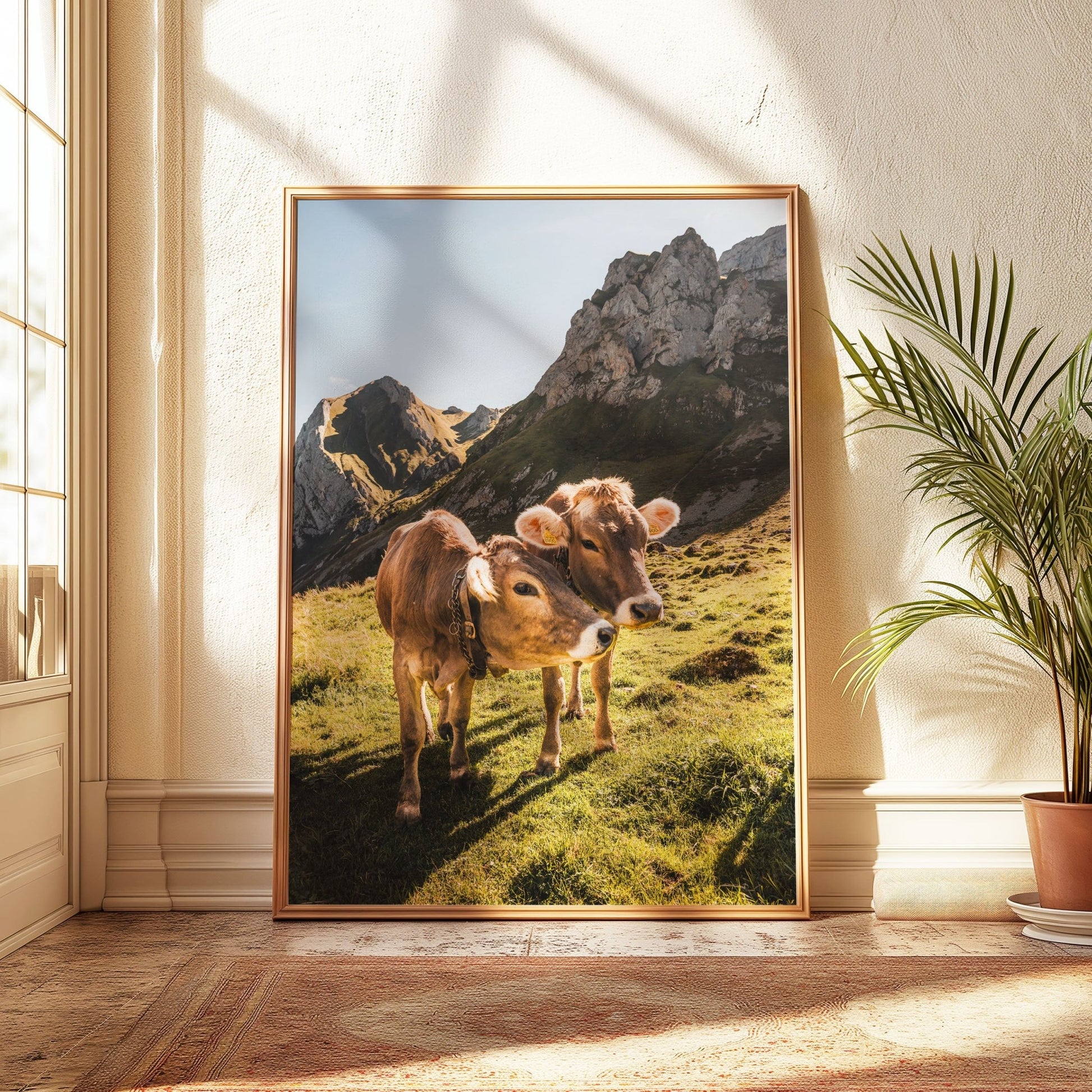 Framed Alpine cows wall art showcasing the beauty of the Appenzell Swiss Alps.